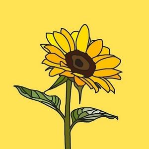 Meet your Posher, Catalina